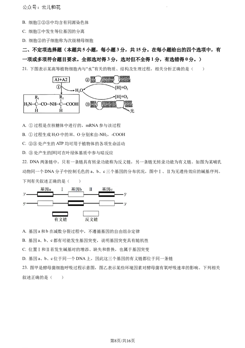 内蒙古自治区赤峰市2023-2024学年高一下学期7月期末生物试题_2024-2025高一（7-7月题库）_2024年7月试卷_0724内蒙古自治区赤峰市2023-2024学年高一下学期期末联考