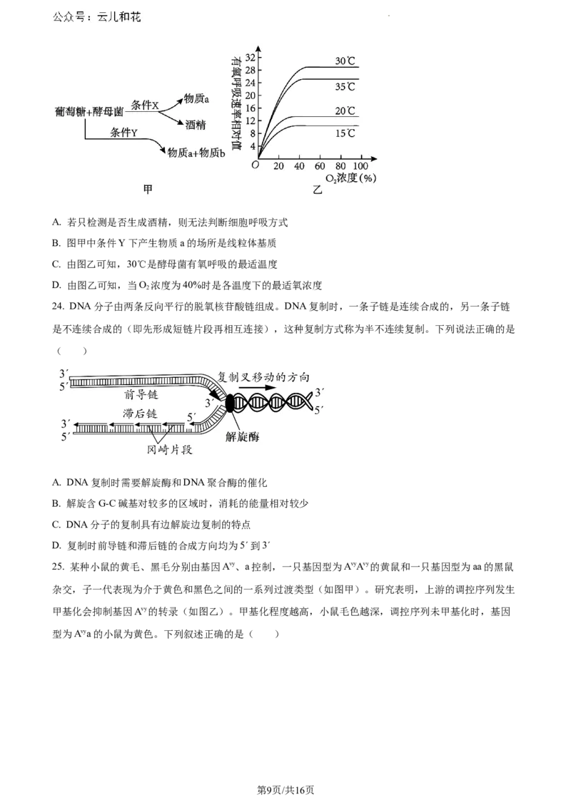内蒙古自治区赤峰市2023-2024学年高一下学期7月期末生物试题_2024-2025高一（7-7月题库）_2024年7月试卷_0724内蒙古自治区赤峰市2023-2024学年高一下学期期末联考