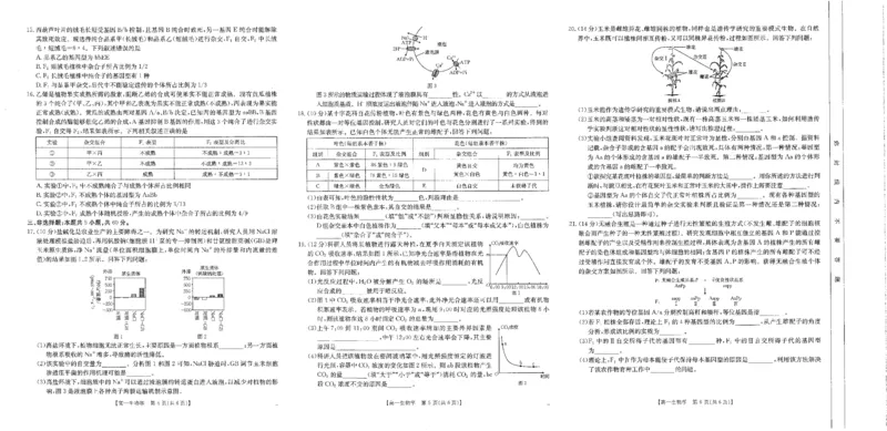 江西省部分学校2024-2025学年高一下学期3月第五次联考试题生物PDF版含解析_2024-2025高一（7-7月题库）_2025年03月试卷_0330江西省部分学校2024-2025学年高一下学期3月第五次联考试题
