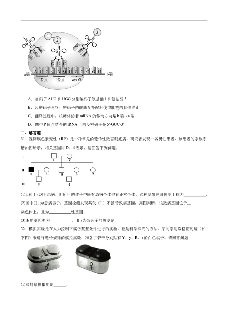 天津市部分区2024-2025学年高一下学期期中练习生物试卷（有答案）_2024-2025高一（7-7月题库）_2025年6月7.10新增_0603天津市部分区2024-2025学年高一下学期期中练习