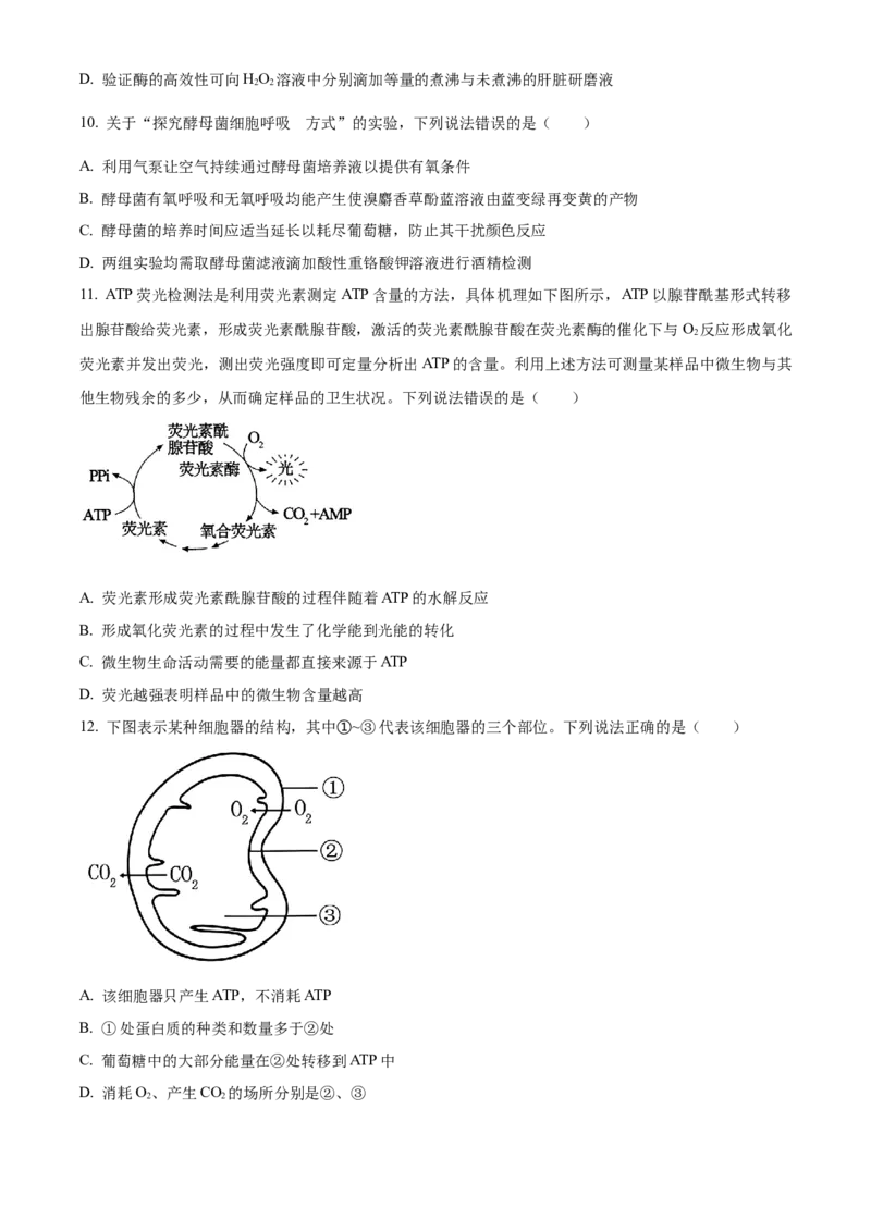山东省威海市2024-2025学年高一上学期期末考试生物学试题（含答案）_2024-2025高一（7-7月题库）_2025年03月试卷_0315山东省威海市2024-2025学年高一上学期期末考试