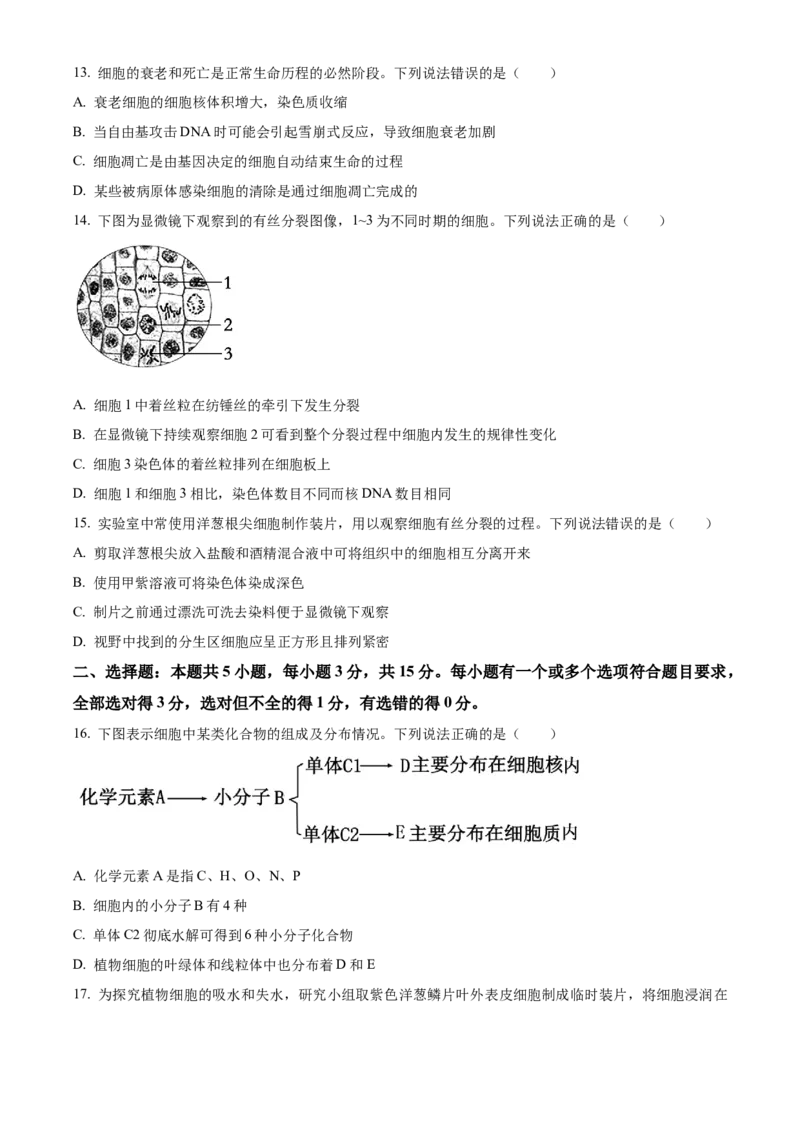 山东省威海市2024-2025学年高一上学期期末考试生物学试题（含答案）_2024-2025高一（7-7月题库）_2025年03月试卷_0315山东省威海市2024-2025学年高一上学期期末考试