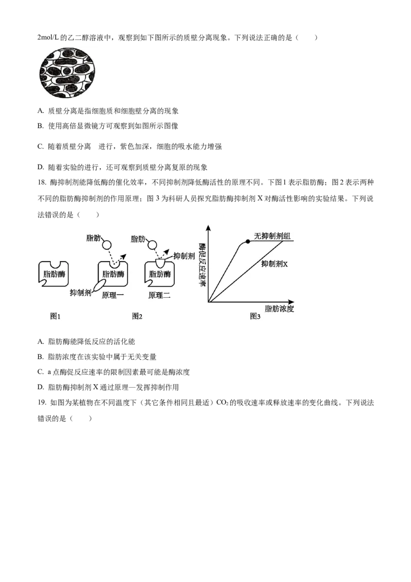山东省威海市2024-2025学年高一上学期期末考试生物学试题（含答案）_2024-2025高一（7-7月题库）_2025年03月试卷_0315山东省威海市2024-2025学年高一上学期期末考试