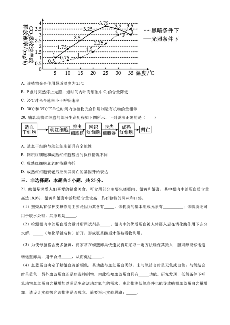 山东省威海市2024-2025学年高一上学期期末考试生物学试题（含答案）_2024-2025高一（7-7月题库）_2025年03月试卷_0315山东省威海市2024-2025学年高一上学期期末考试
