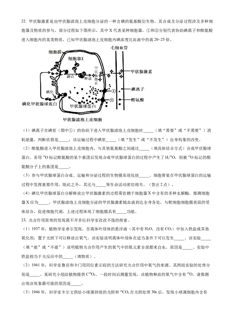 山东省威海市2024-2025学年高一上学期期末考试生物学试题（含答案）_2024-2025高一（7-7月题库）_2025年03月试卷_0315山东省威海市2024-2025学年高一上学期期末考试