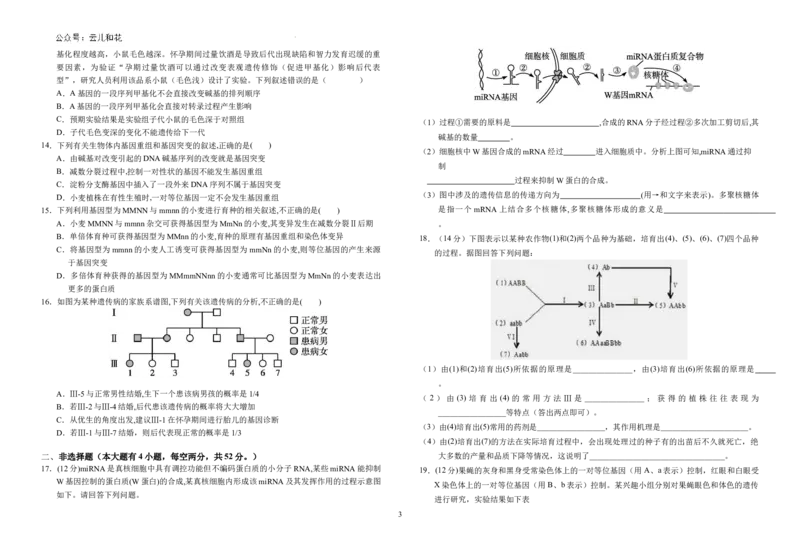 安徽省六安市金安区安徽省六安第一中学2023-2024学年高一下学期6月期末生物试题_2024-2025高一（7-7月题库）_2024年7月试卷_0704安徽省六安第一中学2023-2024学年高一下学期期末考试