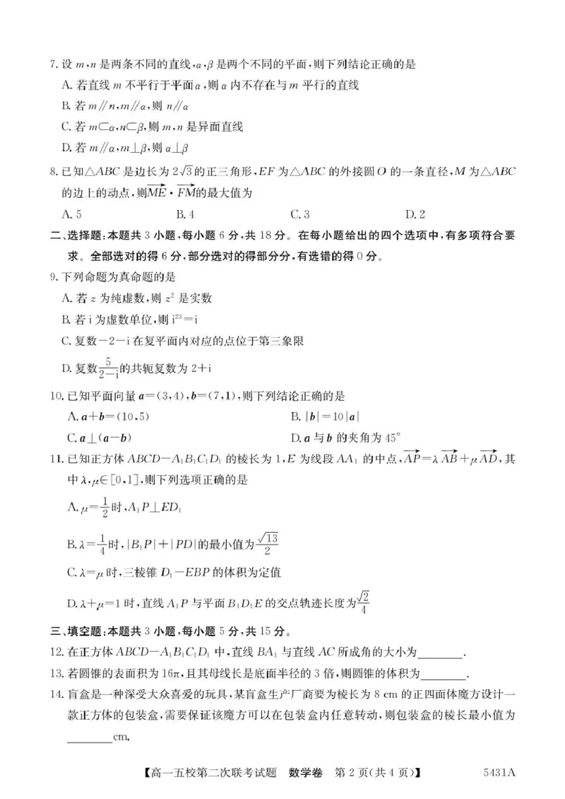 广东省惠州市五校2024-2025学年高一下学期第二次联考数学试卷(图片版含答案)_2024-2025高一（7-7月题库）_2025年6月7.10新增_0603广东省惠州市五校2024-2025学年高一下学期第二次联考