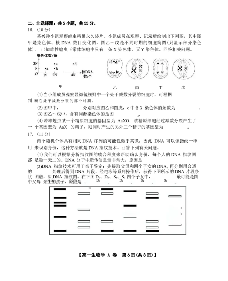 安徽省鼎尖名校2024-2025学年高一下学期5月阶段性检测生物（A）试卷（有解析）_2024-2025高一（7-7月题库）_2025年6月7.10新增_0611安徽省鼎尖名校2024-2025学年高一下学期5月联考试题