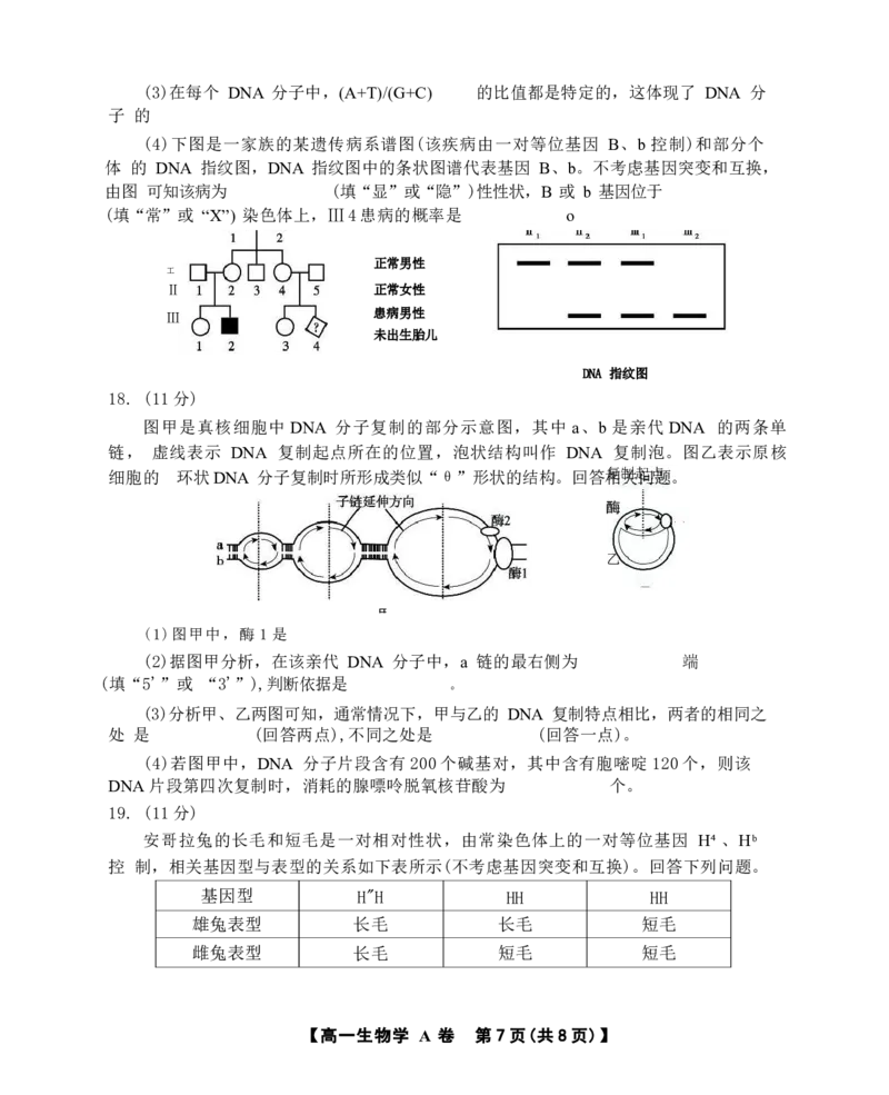 安徽省鼎尖名校2024-2025学年高一下学期5月阶段性检测生物（A）试卷（有解析）_2024-2025高一（7-7月题库）_2025年6月7.10新增_0611安徽省鼎尖名校2024-2025学年高一下学期5月联考试题