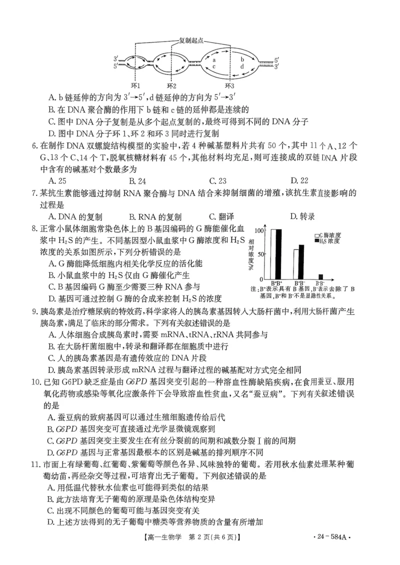 扫描件_生物学试卷_2024-2025高一（7-7月题库）_2024年7月试卷_0704河南省创新发展联盟2023-2024学年高一下学期期末检测（金太阳584A）
