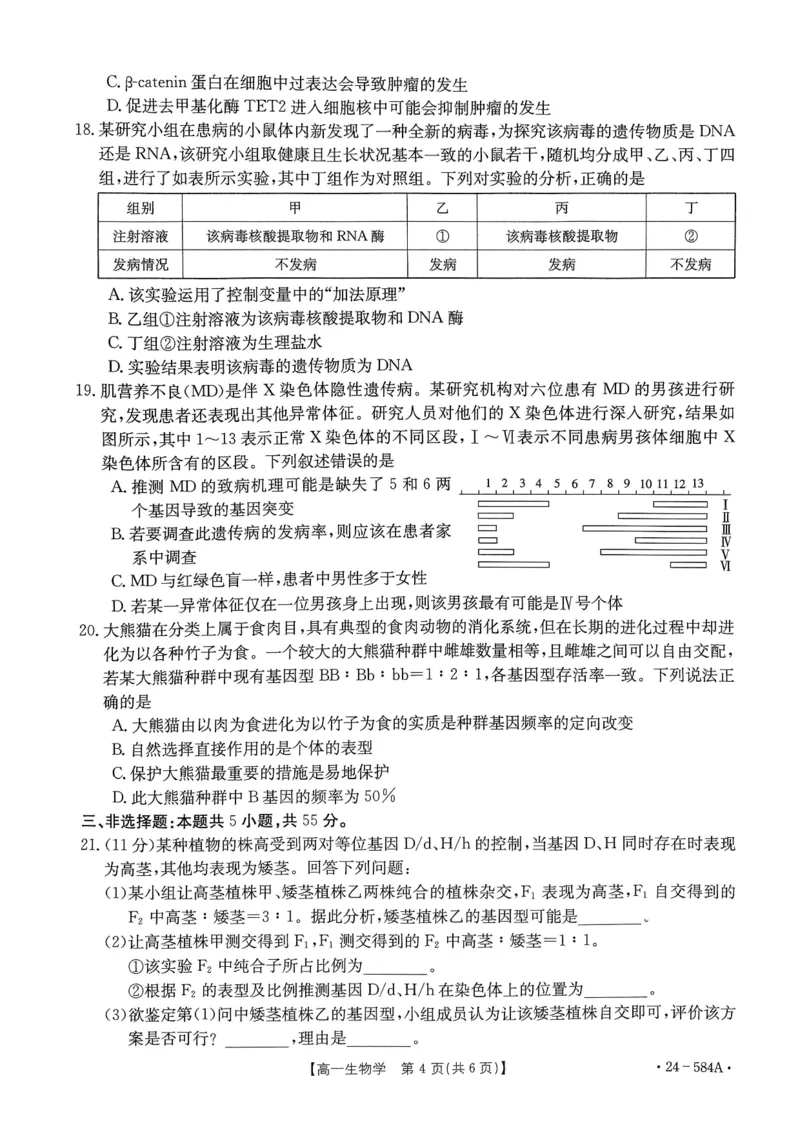 扫描件_生物学试卷_2024-2025高一（7-7月题库）_2024年7月试卷_0704河南省创新发展联盟2023-2024学年高一下学期期末检测（金太阳584A）