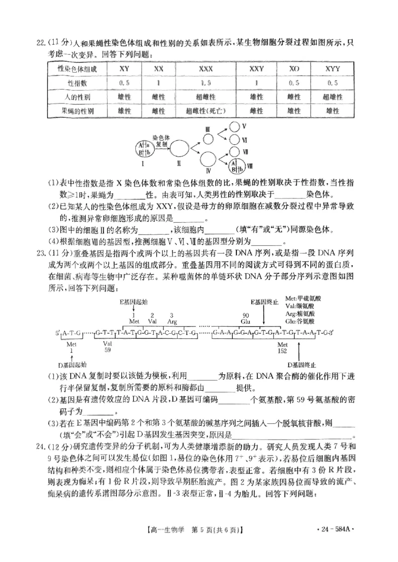 扫描件_生物学试卷_2024-2025高一（7-7月题库）_2024年7月试卷_0704河南省创新发展联盟2023-2024学年高一下学期期末检测（金太阳584A）