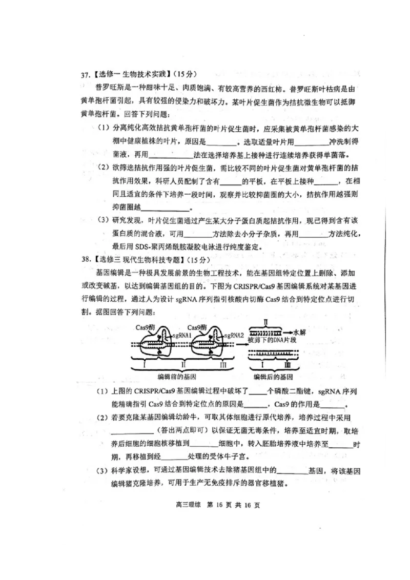 内蒙古赤峰市2024届高三下学期4.20模拟考试理科综合试题_2024年4月_01按日期_20号_2024届内蒙古赤峰市高三下学期420模拟考试