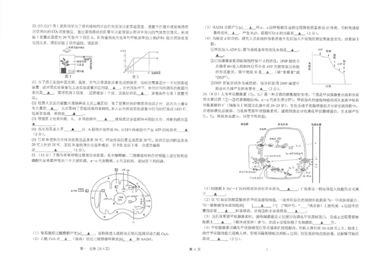 江苏省海安高级中学2024-2025学年高一上学期12月月考试题生物PDF版含答案_2024-2025高一（7-7月题库）_2025年01月试卷_0113江苏省海安高级中学2024-2025学年高一上学期12月月考试题