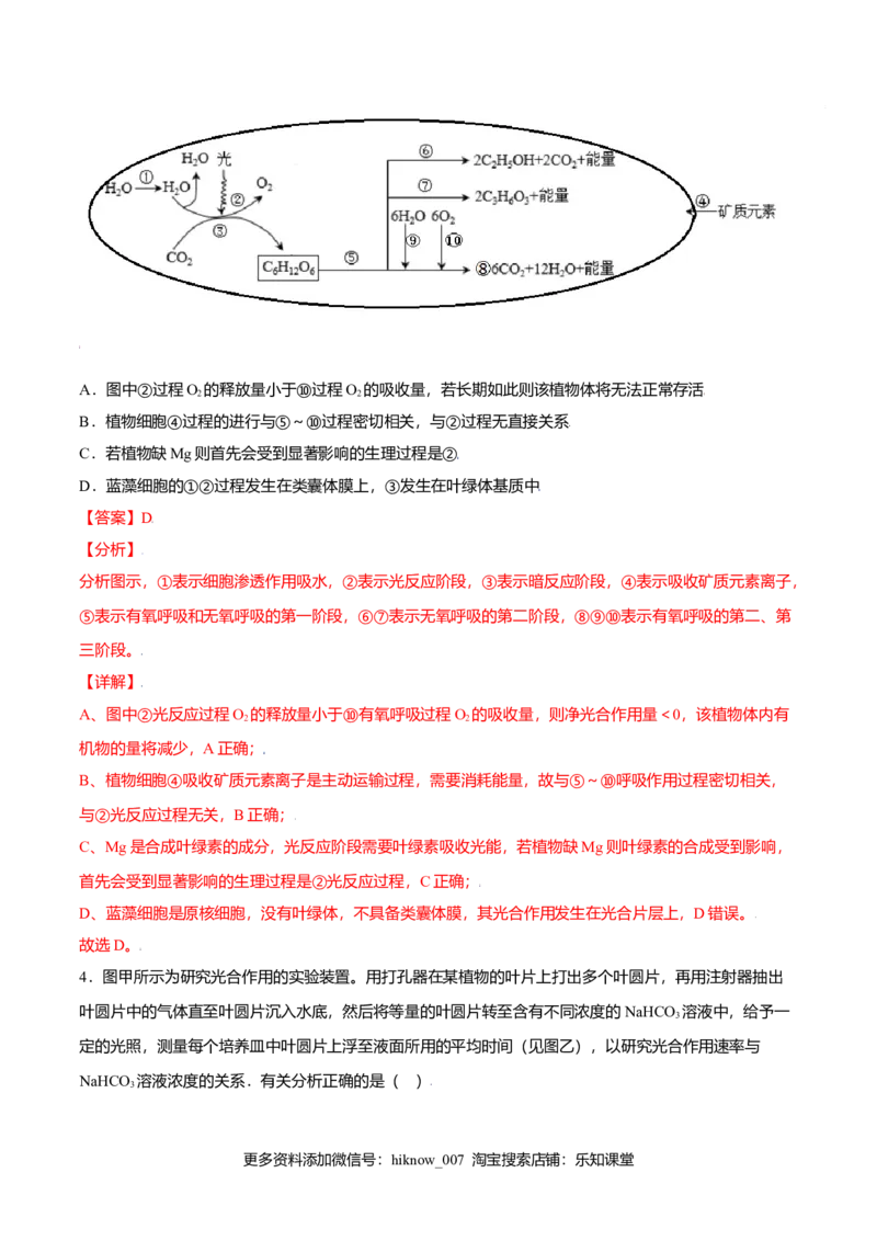 5.4光合作用与能量转化-高一生物课后培优练（人教版2019必修1）（解析版）_E015高中全科试卷_生物试题_必修1_2.同步练习_3.同步练习（第三套）