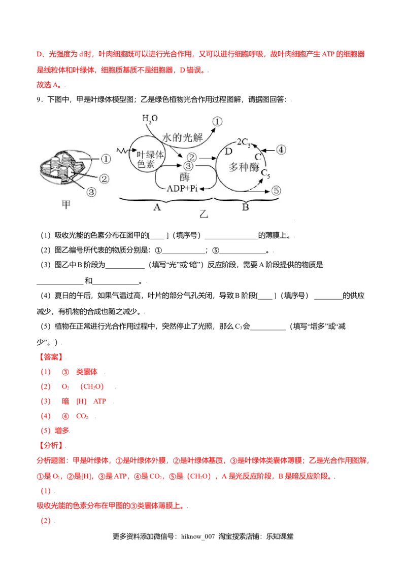 5.4光合作用与能量转化-高一生物课后培优练（人教版2019必修1）（解析版）_E015高中全科试卷_生物试题_必修1_2.同步练习_3.同步练习（第三套）