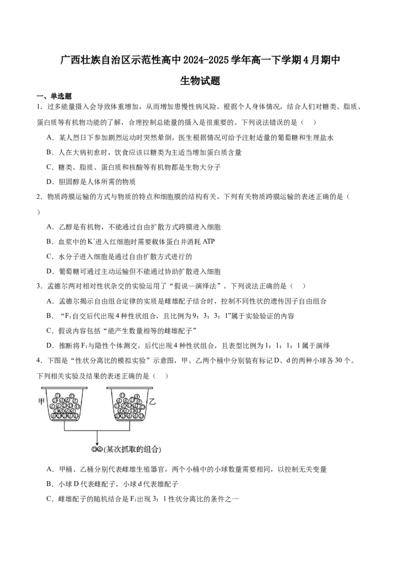 广西示范性高中2024-2025学年高一下学期4月期中考试生物Word版含答案_2024-2025高一（7-7月题库）_2025年05月试卷_0530广西示范性高中2024-2025学年高一下学期4月期中考试
