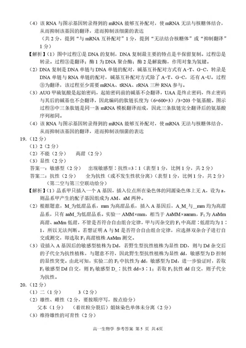 广西河池市2024-2025学年高一下学期7月期末考试生物PDF版含解析_2024-2025高一（7-7月题库）_2025年7月_250715广西河池市2024-2025学年高一下学期7月期末考试