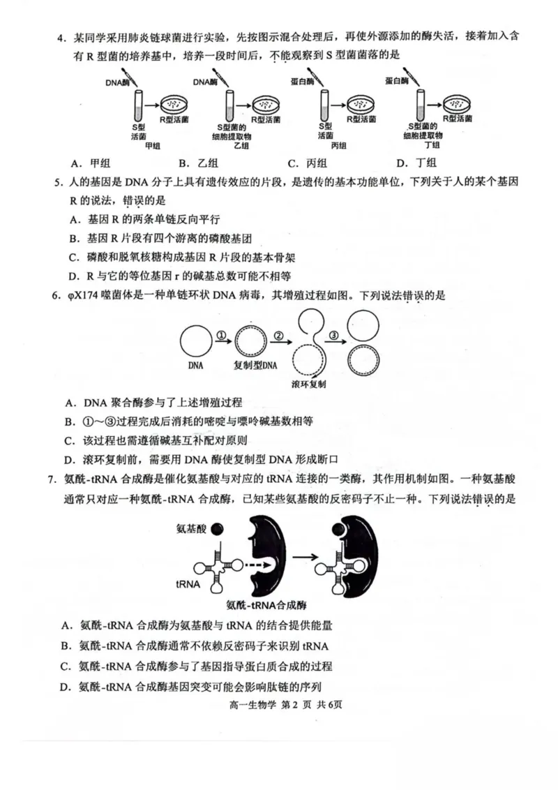广西河池市2024-2025学年高一下学期7月期末考试生物PDF版含解析_2024-2025高一（7-7月题库）_2025年7月_250715广西河池市2024-2025学年高一下学期7月期末考试