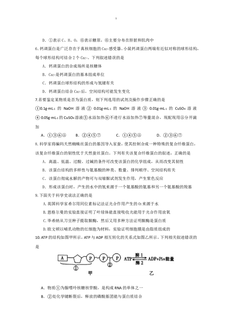 四川省眉山市2024-2025学年高一上学期1月期末联考试题生物（有答案）_2024-2025高一（7-7月题库）_2025年02月试卷_0202四川省眉山市2024-2025学年高一上学期1月期末联考试题