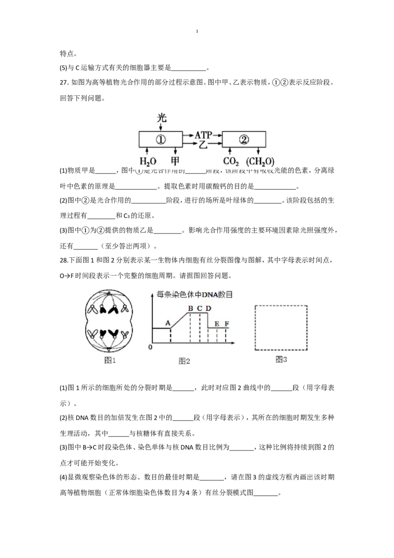 四川省眉山市2024-2025学年高一上学期1月期末联考试题生物（有答案）_2024-2025高一（7-7月题库）_2025年02月试卷_0202四川省眉山市2024-2025学年高一上学期1月期末联考试题