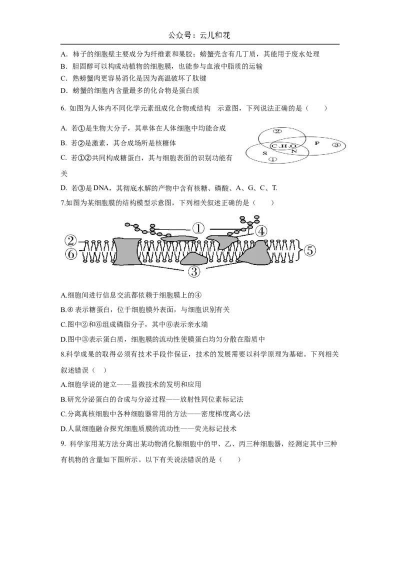 广东省肇庆市广信中学、四会市四会中学等五校2024-2025学年高一上学期第二次段考试生物试题（含答案）_2024-2025高一（7-7月题库）_2024年12月试卷
