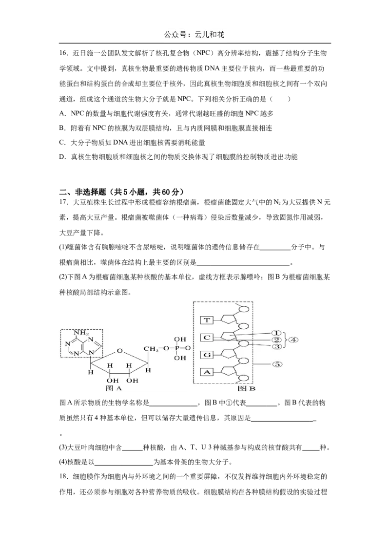 广东省肇庆市广信中学、四会市四会中学等五校2024-2025学年高一上学期第二次段考试生物试题（含答案）_2024-2025高一（7-7月题库）_2024年12月试卷