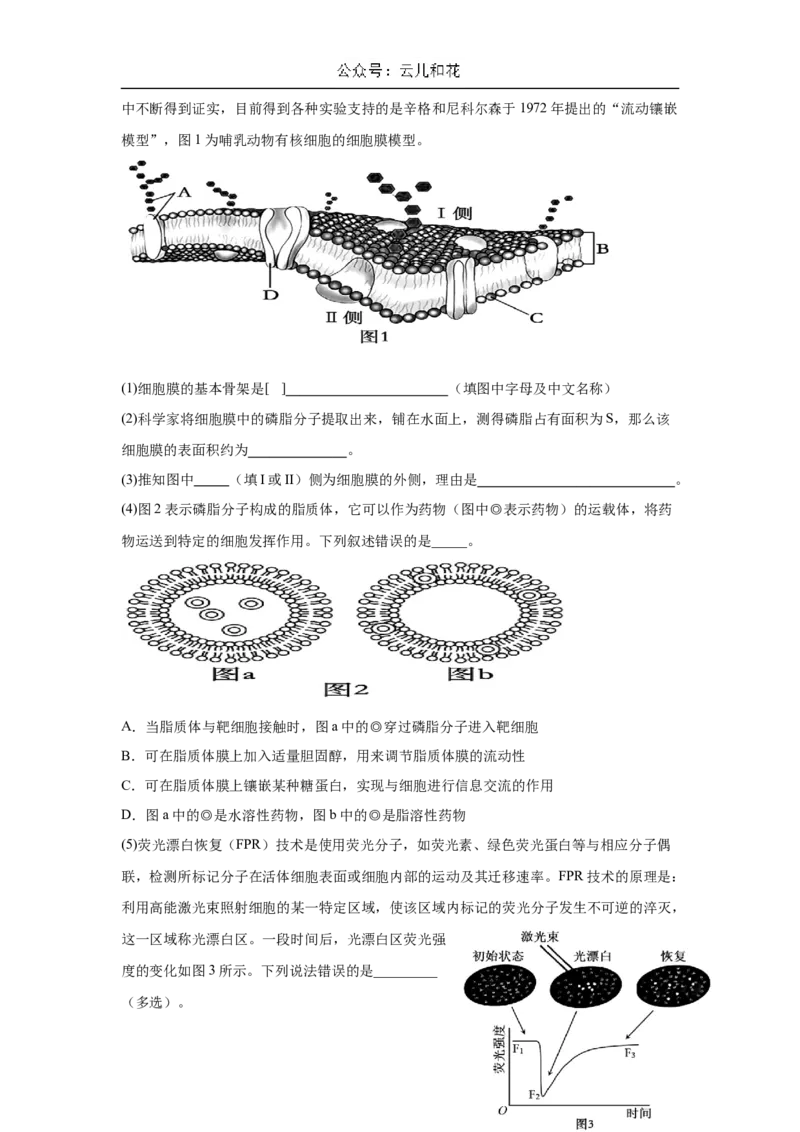 广东省肇庆市广信中学、四会市四会中学等五校2024-2025学年高一上学期第二次段考试生物试题（含答案）_2024-2025高一（7-7月题库）_2024年12月试卷
