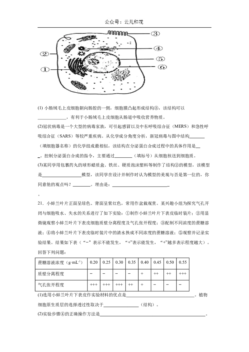 广东省肇庆市广信中学、四会市四会中学等五校2024-2025学年高一上学期第二次段考试生物试题（含答案）_2024-2025高一（7-7月题库）_2024年12月试卷