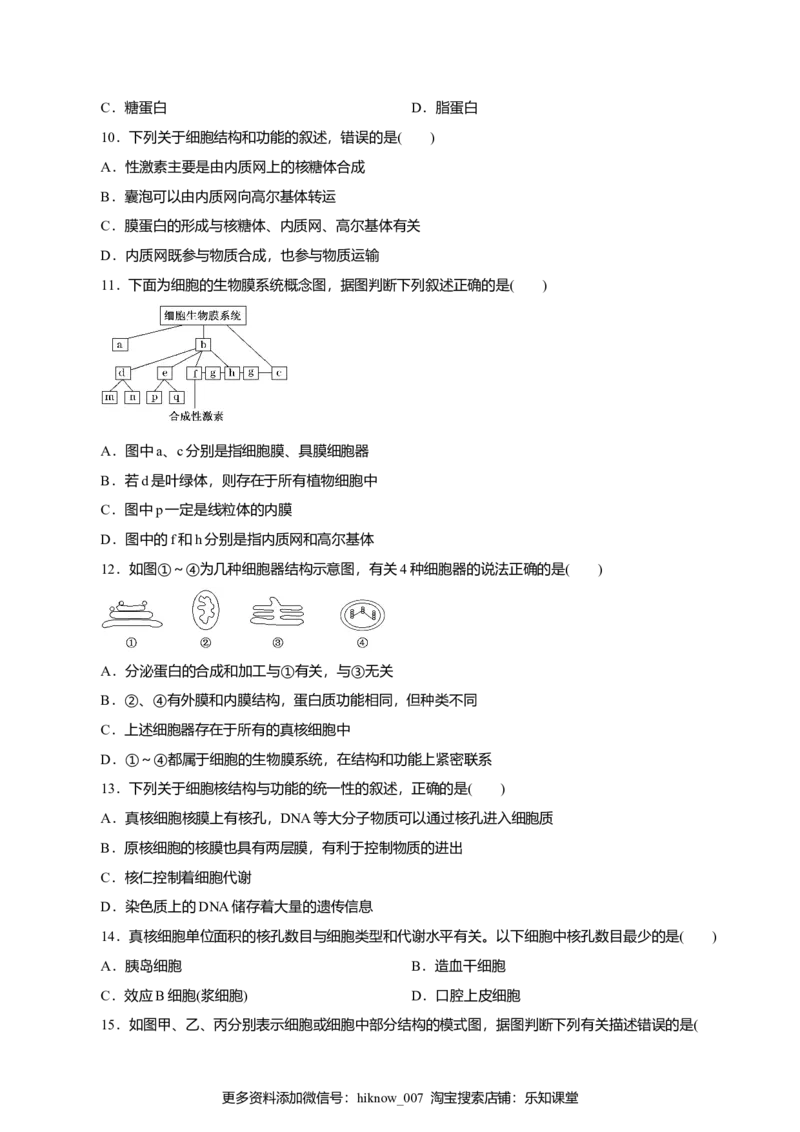 第03章细胞的基本结构（B卷）（原卷版）_E015高中全科试卷_生物试题_必修1_1.单元测试_3.单元测试（第三套）_第03章细胞的基本结构（B卷）