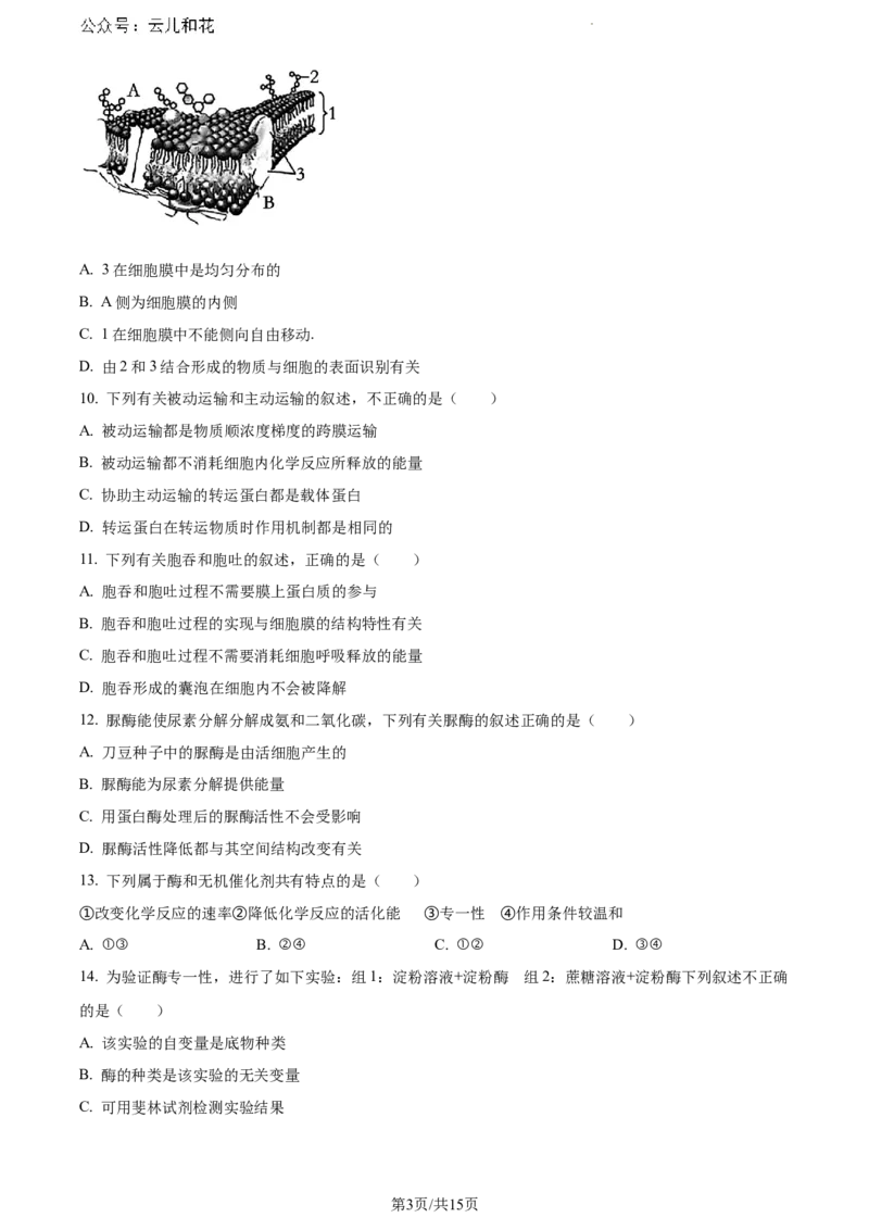 云南省大理白族自治州2023-2024学年高一下学期7月期末生物试题_2024-2025高一（7-7月题库）_2024年8月试卷_0804云南省大理白族自治州2023-2024学年高一下学期7月期末