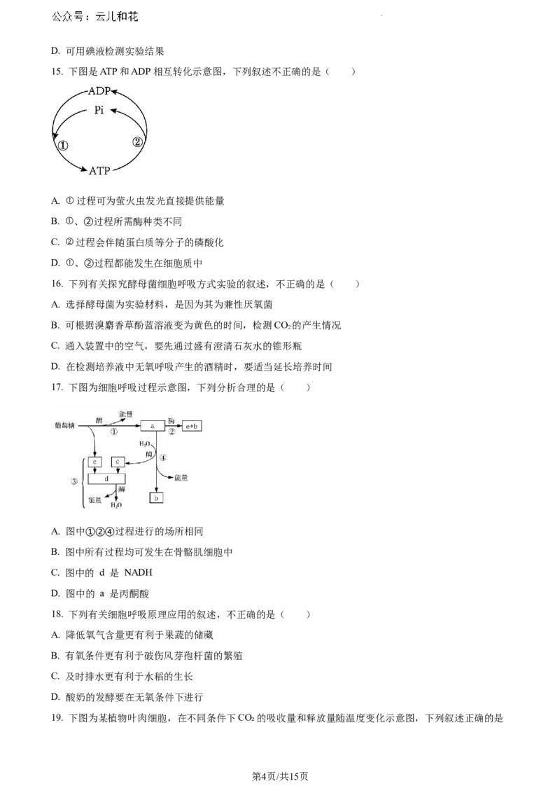 云南省大理白族自治州2023-2024学年高一下学期7月期末生物试题_2024-2025高一（7-7月题库）_2024年8月试卷_0804云南省大理白族自治州2023-2024学年高一下学期7月期末