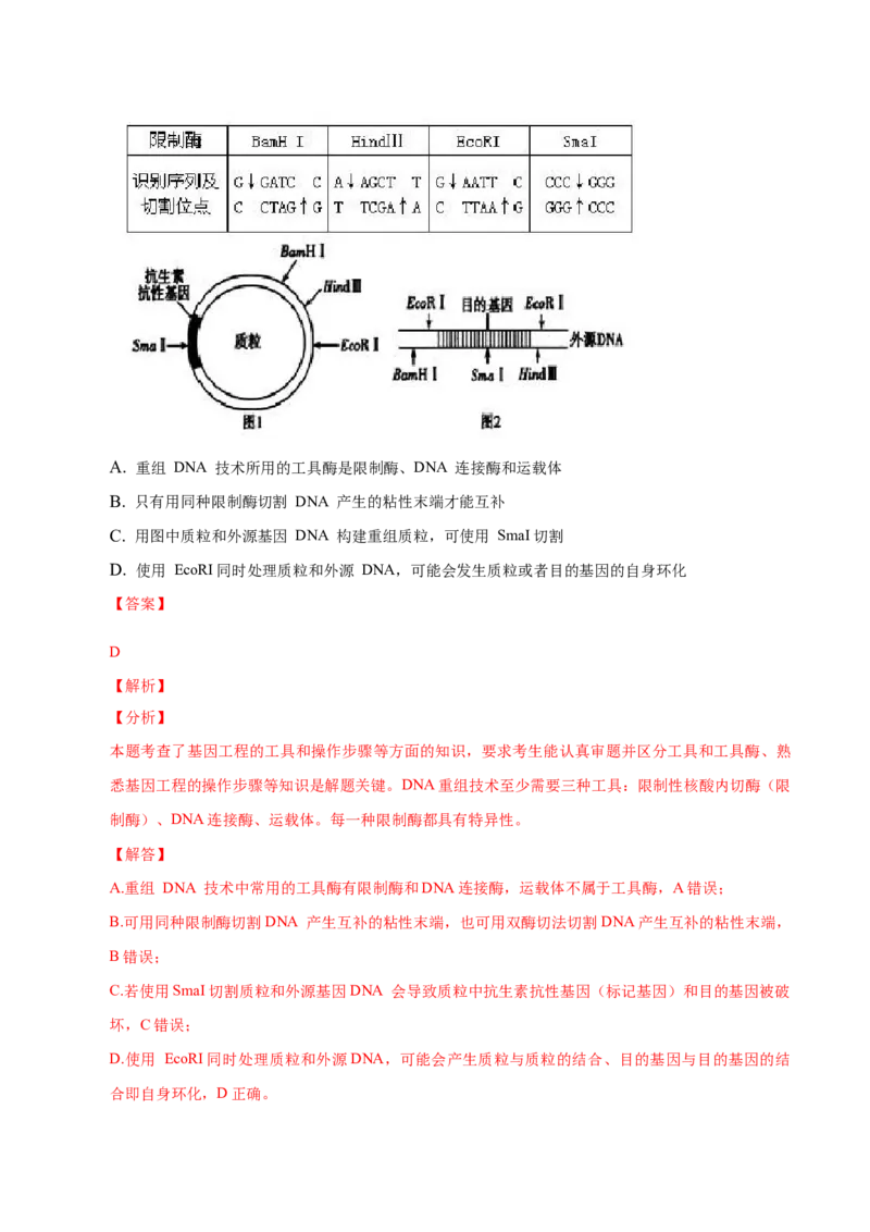 3.1重组DNA技术的基本工具-高二生物课后培优分级练（人教版2019选择性必修3）（解析版）_E015高中全科试卷_生物试题_选修3_2.同步练习_1.课后培优练2023