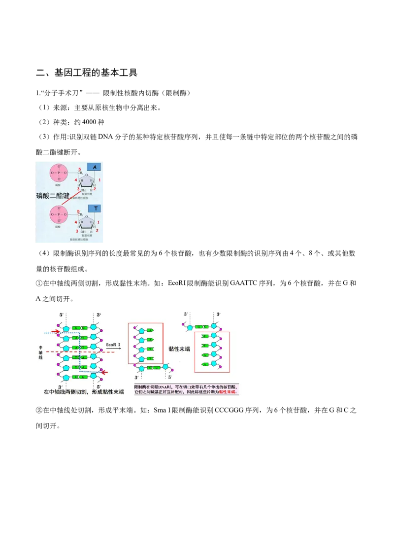 3.1重组DNA技术的基本工具-高二生物课后培优分级练（人教版2019选择性必修3）（解析版）_E015高中全科试卷_生物试题_选修3_2.同步练习_1.课后培优练2023