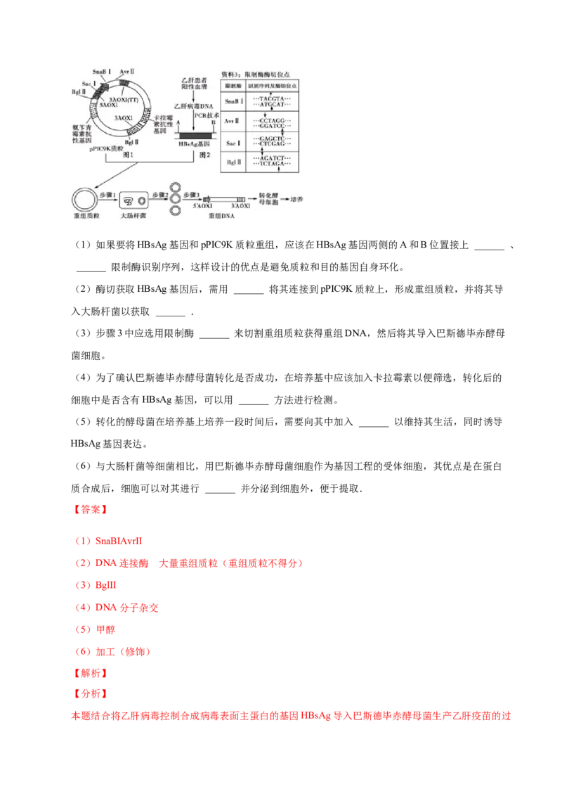 3.1重组DNA技术的基本工具-高二生物课后培优分级练（人教版2019选择性必修3）（解析版）_E015高中全科试卷_生物试题_选修3_2.同步练习_1.课后培优练2023