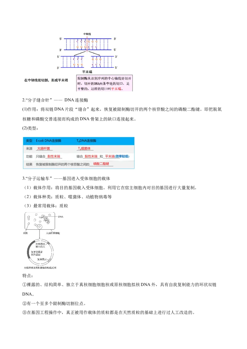 3.1重组DNA技术的基本工具-高二生物课后培优分级练（人教版2019选择性必修3）（解析版）_E015高中全科试卷_生物试题_选修3_2.同步练习_1.课后培优练2023