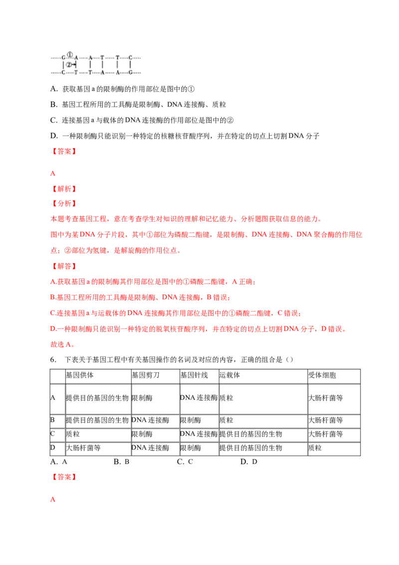 3.1重组DNA技术的基本工具-高二生物课后培优分级练（人教版2019选择性必修3）（解析版）_E015高中全科试卷_生物试题_选修3_2.同步练习_1.课后培优练2023