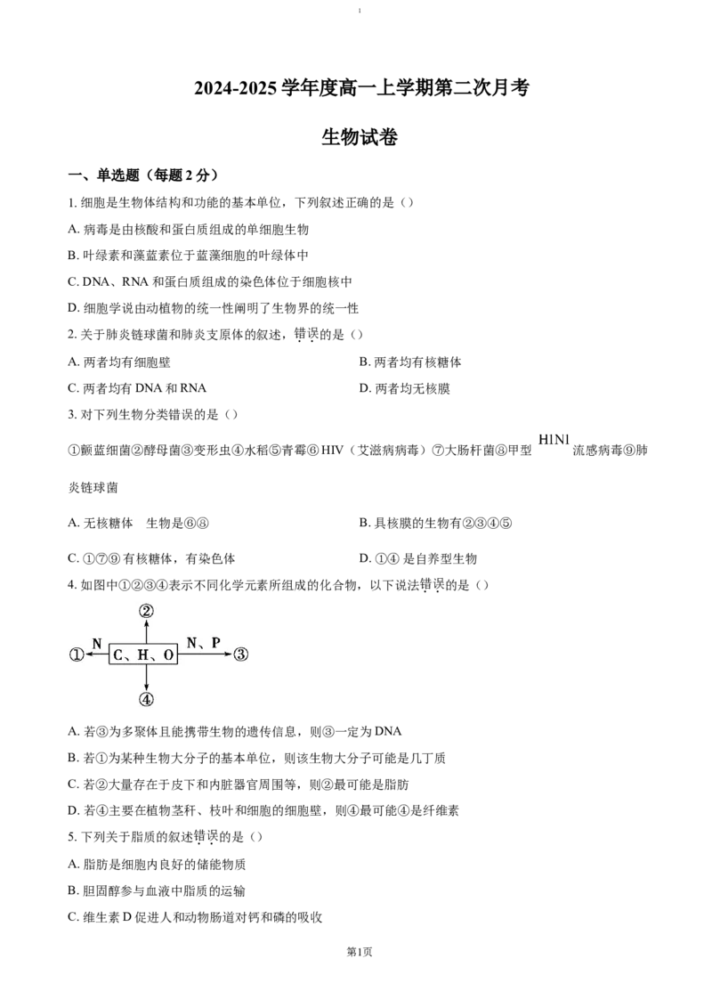 江西省赣州市大余县部分学校联考2024-2025学年高一上学期12月月考试题生物（含答案）_2024-2025高一（7-7月题库）_2025年01月试卷