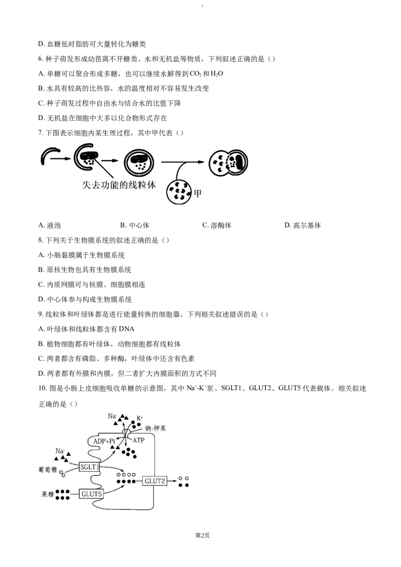 江西省赣州市大余县部分学校联考2024-2025学年高一上学期12月月考试题生物（含答案）_2024-2025高一（7-7月题库）_2025年01月试卷