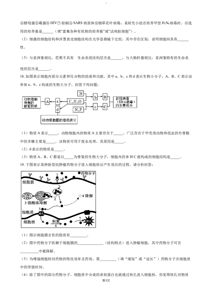 江西省赣州市大余县部分学校联考2024-2025学年高一上学期12月月考试题生物（含答案）_2024-2025高一（7-7月题库）_2025年01月试卷