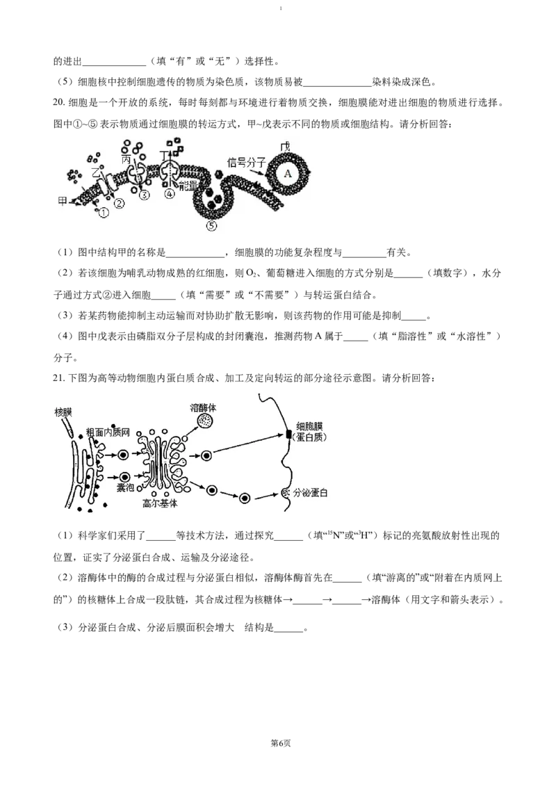 江西省赣州市大余县部分学校联考2024-2025学年高一上学期12月月考试题生物（含答案）_2024-2025高一（7-7月题库）_2025年01月试卷