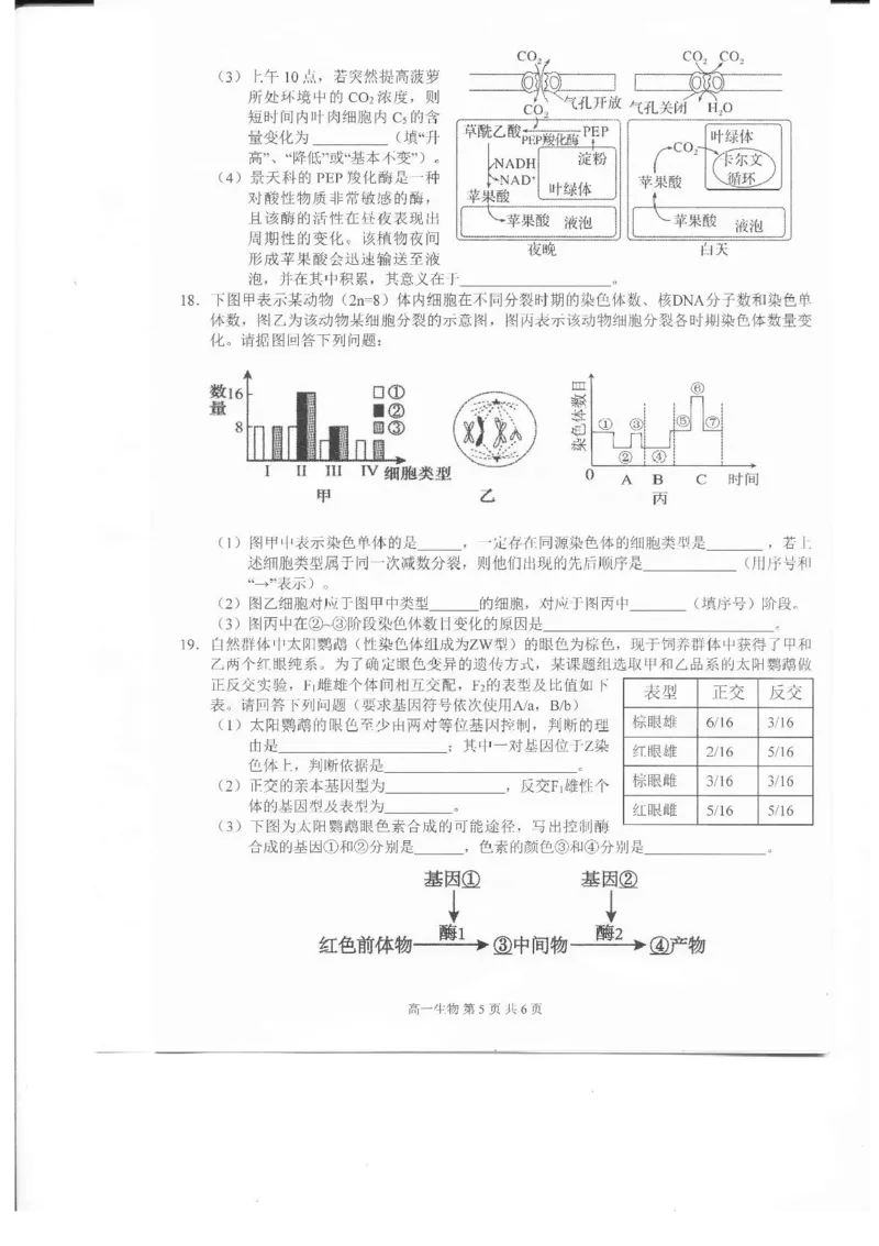 江西省上饶市2024-2025学年高一下学期期末生物试题含答案_2024-2025高一（7-7月题库）_2025年7月_250702江西省上饶市2024-2025学年下学期高一期末教学质量检测