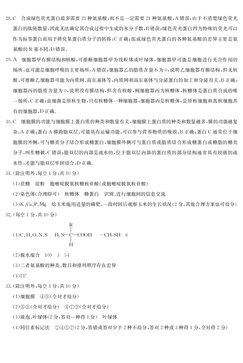 广东省深圳市盟校联盟2024-2025学年高一上学期11月期中考试生物PDF版含解析（可编辑）_2024-2025高一（7-7月题库）_2024年11月试卷