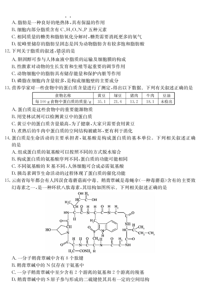 广东省深圳市盟校联盟2024-2025学年高一上学期11月期中考试生物PDF版含解析（可编辑）_2024-2025高一（7-7月题库）_2024年11月试卷