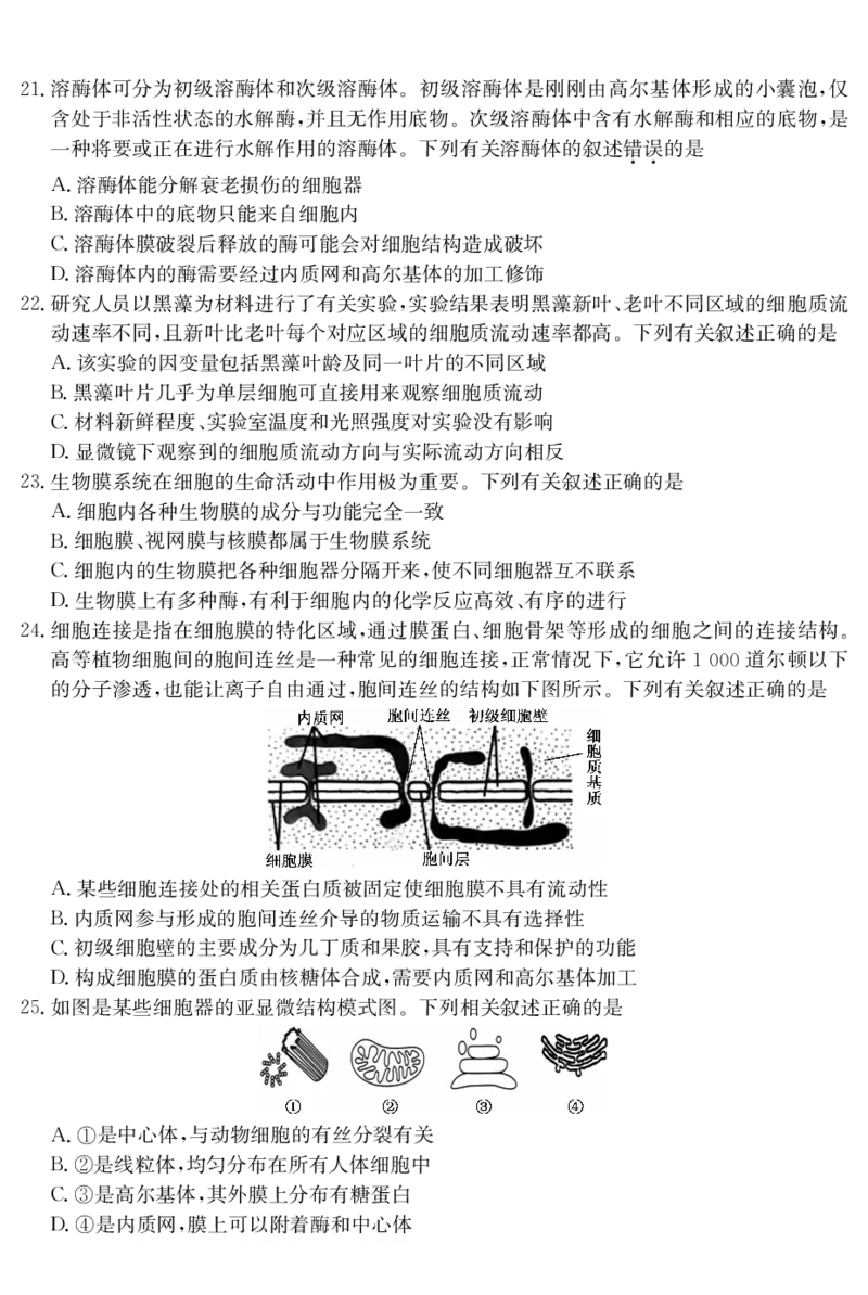 广东省深圳市盟校联盟2024-2025学年高一上学期11月期中考试生物PDF版含解析（可编辑）_2024-2025高一（7-7月题库）_2024年11月试卷