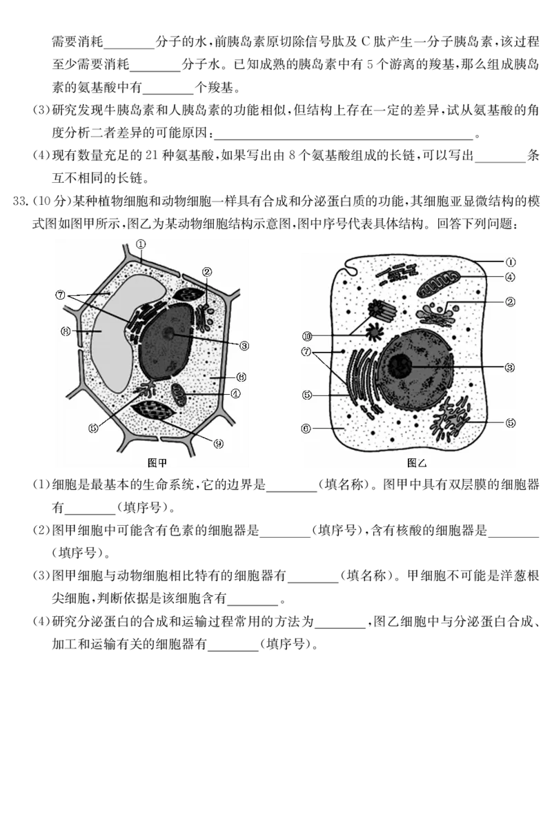 广东省深圳市盟校联盟2024-2025学年高一上学期11月期中考试生物PDF版含解析（可编辑）_2024-2025高一（7-7月题库）_2024年11月试卷