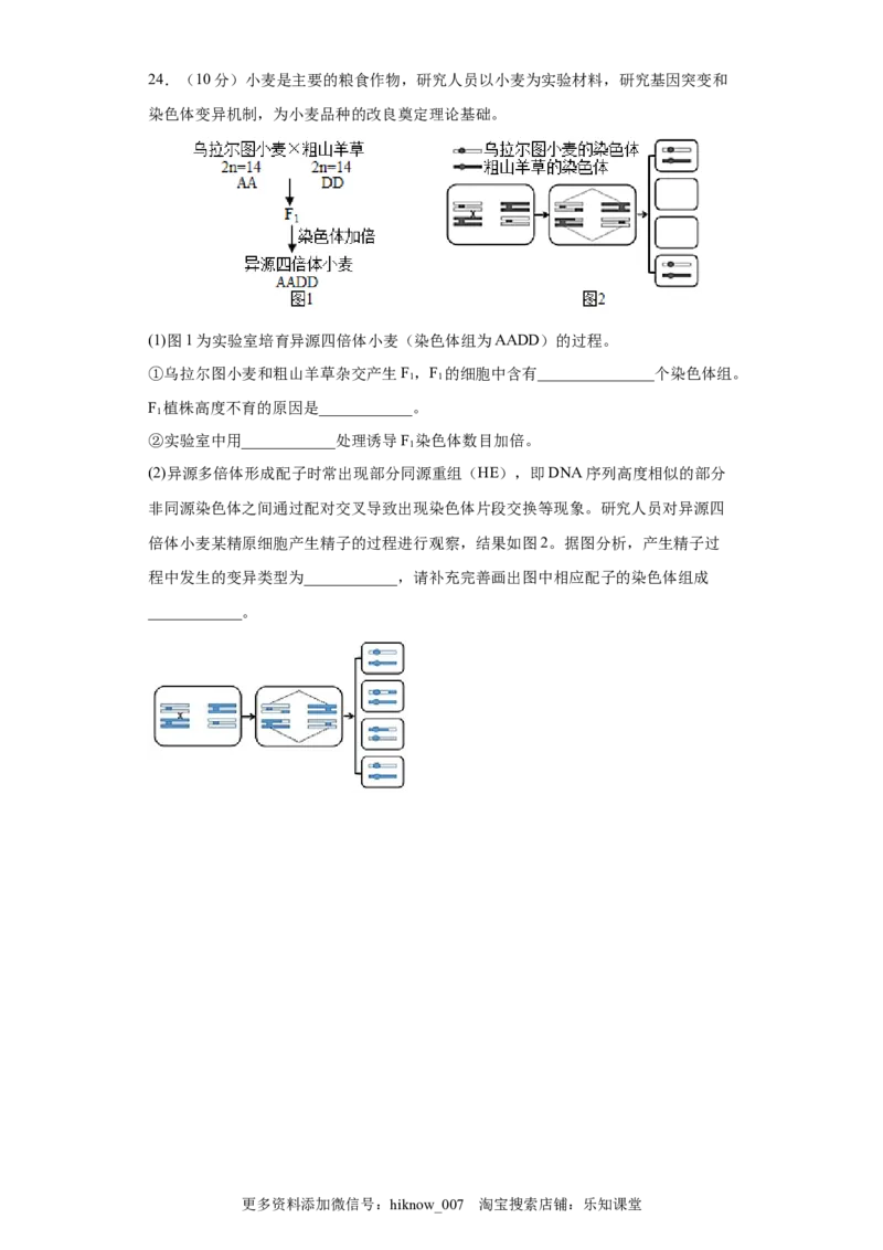 期末拔高卷3-冲刺期末高一生物下学期期末拔高冲刺卷（2019人教版）（原卷版）_E015高中全科试卷_生物试题_必修2_4.期末试卷