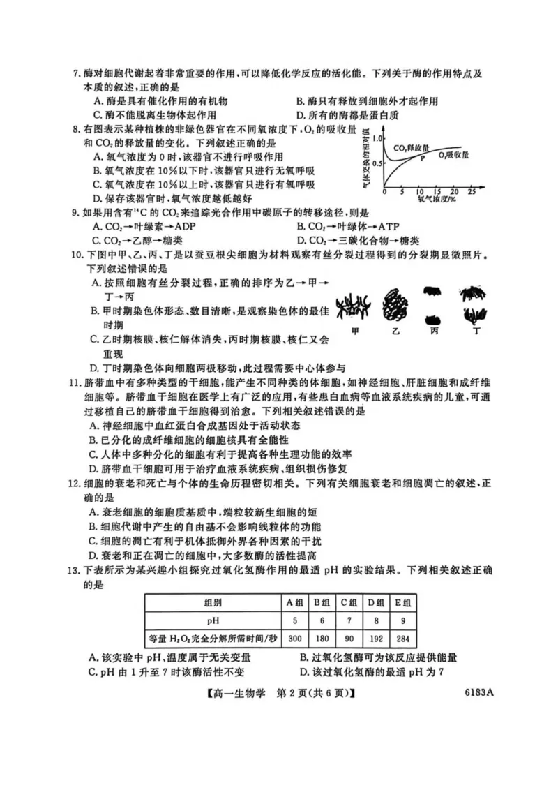 吉林省吉林市外五县各高中2025-2026学年高一上学期1月期末考试生物试卷(图片版含解析)_2024-2025高一（7-7月题库）_2026年1月高一