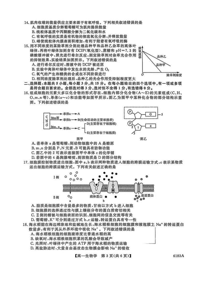 吉林省吉林市外五县各高中2025-2026学年高一上学期1月期末考试生物试卷(图片版含解析)_2024-2025高一（7-7月题库）_2026年1月高一