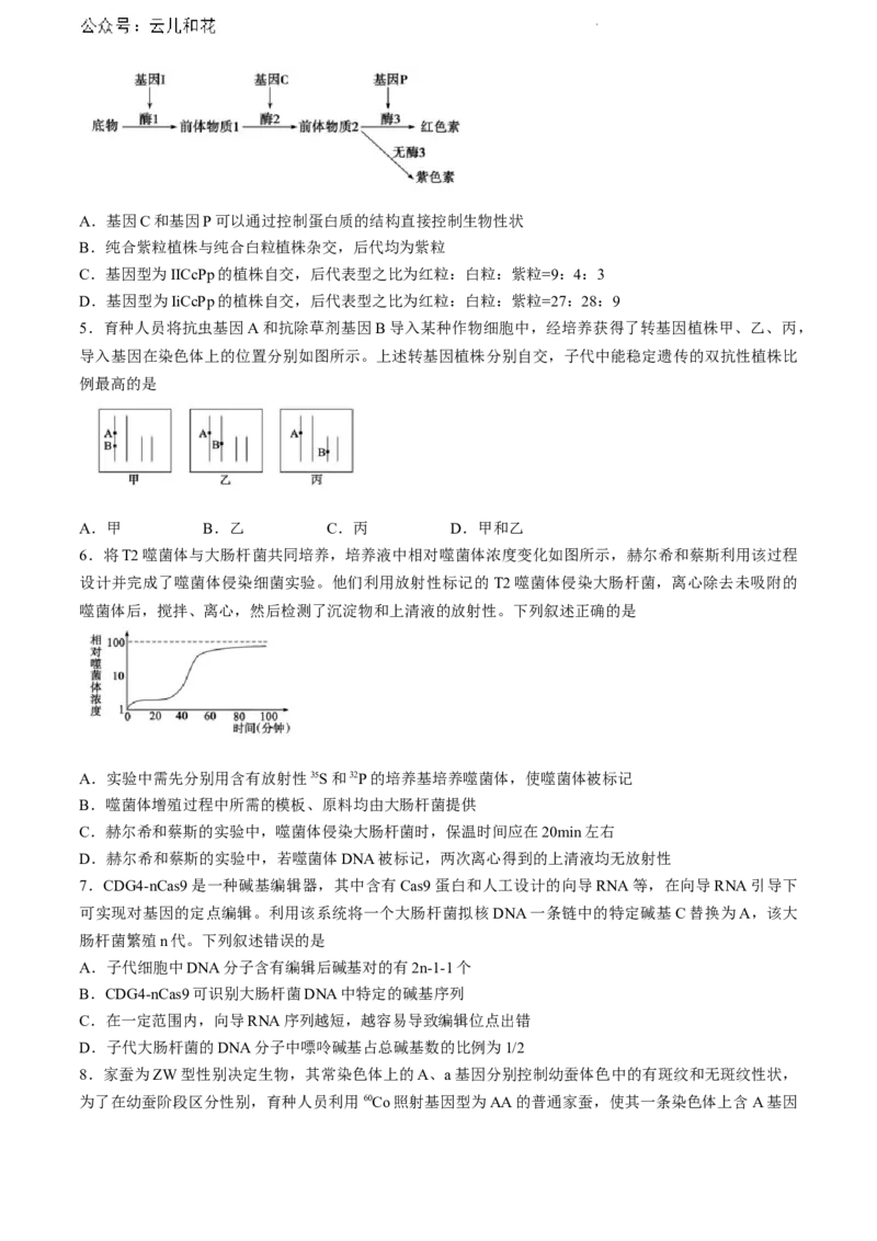 山东省东营市2023-2024学年高一下学期期末考试生物试题_2024-2025高一（7-7月题库）_2024年8月试卷_0811山东省东营市2023-2024学年高一下学期期末考试